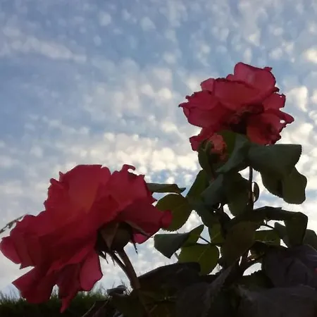 Maisonnette De Charme Entre Plages Et Estuaire Séjour à la campagne