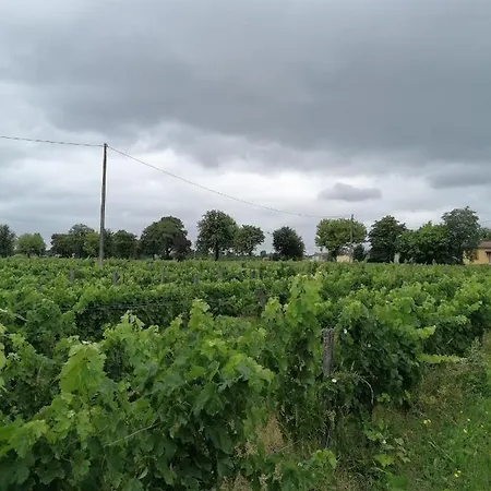 Maisonnette De Charme Entre Plages Et Estuaire בית כפרי Saint-Vivien-de-Médoc