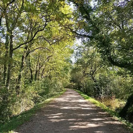 Maisonnette De Charme Entre Plages Et Estuaire בית כפרי *